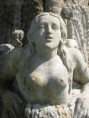 /album/sosne-telo/a13-0829-cze-1-jpg/